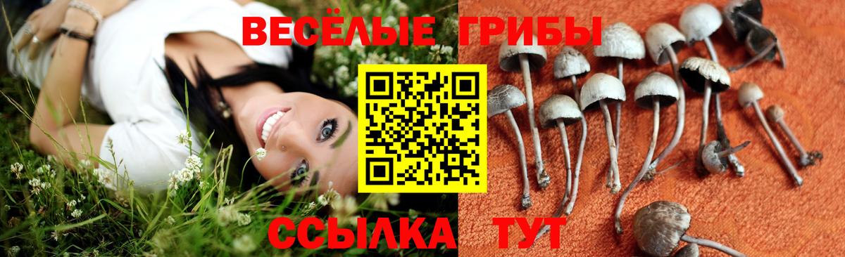 Галлюциногенные грибы Magic Shrooms Нерюнгри
