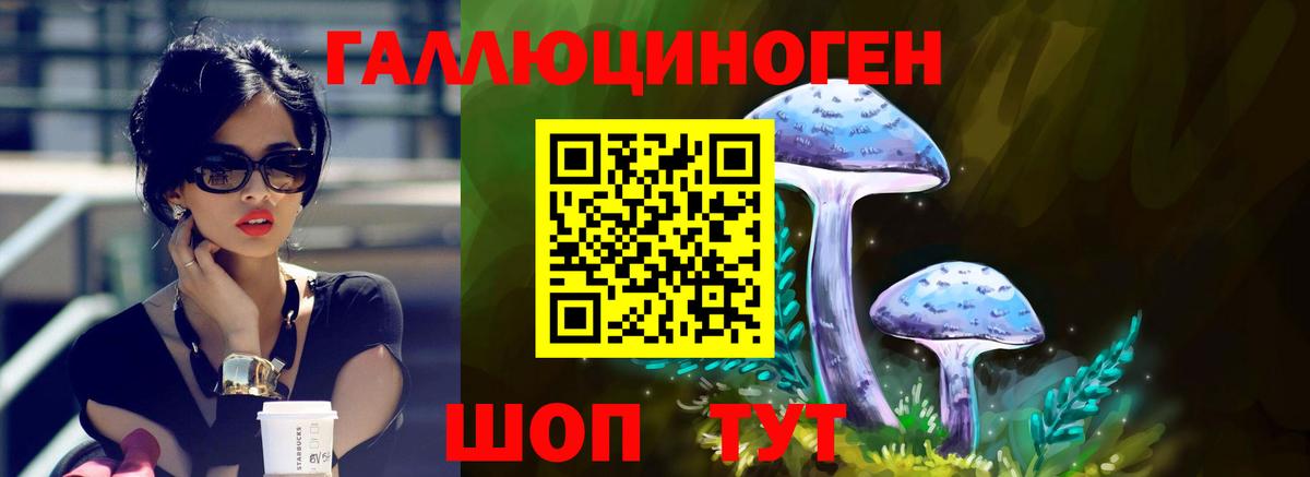 Галлюциногенные грибы MAGIC MUSHROOMS  Галлюциногенные грибы Psilocybe  Нерюнгри  Вход с VPN 